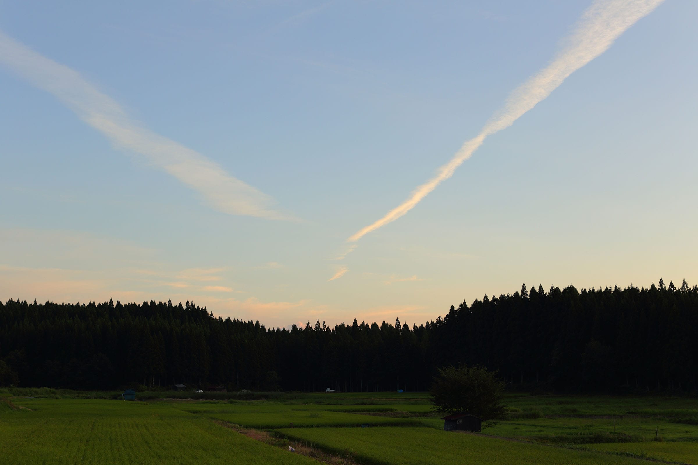 みちのおく百景 49 「夕顔棚納涼図屏風」に憧れて